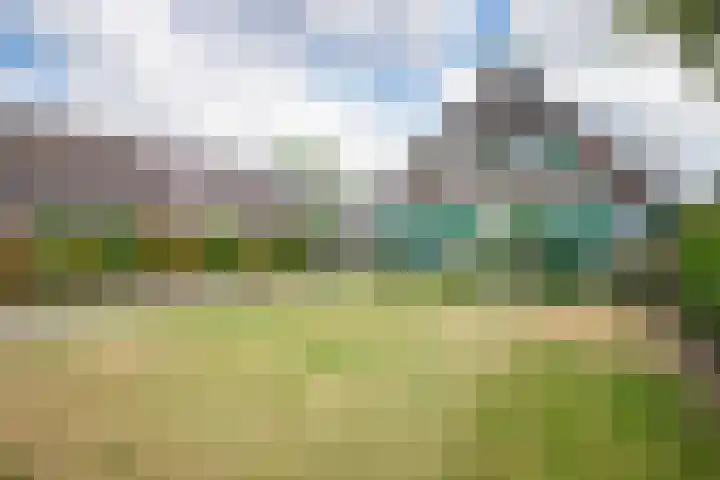 Oude Rijksweg 263 Rouveen thumbnail 26