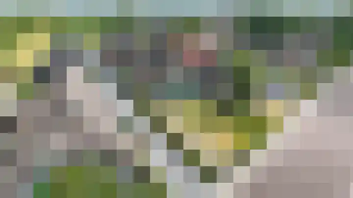 Oude Rijksweg 263 Rouveen thumbnail 28