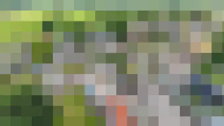Oude Rijksweg 263 Rouveen thumbnail 29