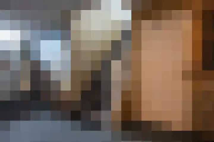 Oude Rijksweg 263 Rouveen thumbnail 5