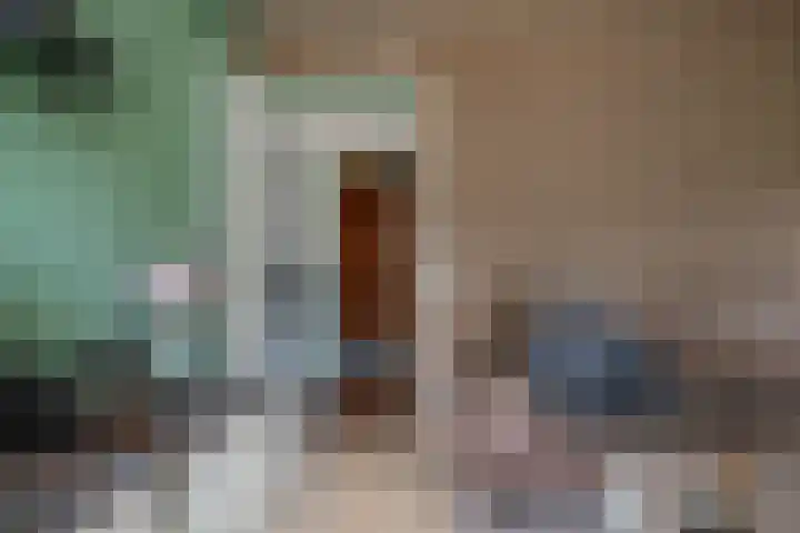 Oude Rijksweg 263 Rouveen thumbnail 7