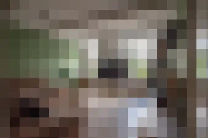 Oude Rijksweg 263 Rouveen thumbnail 8