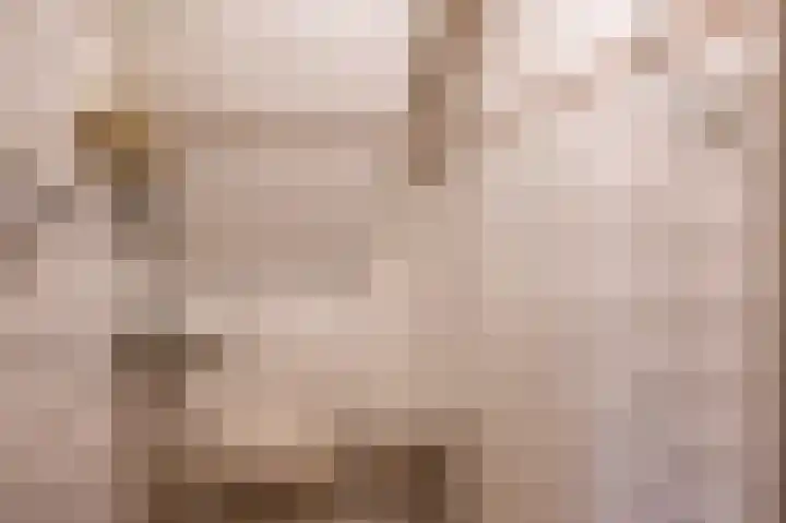 Oude Rijksweg 275 Rouveen thumbnail 11