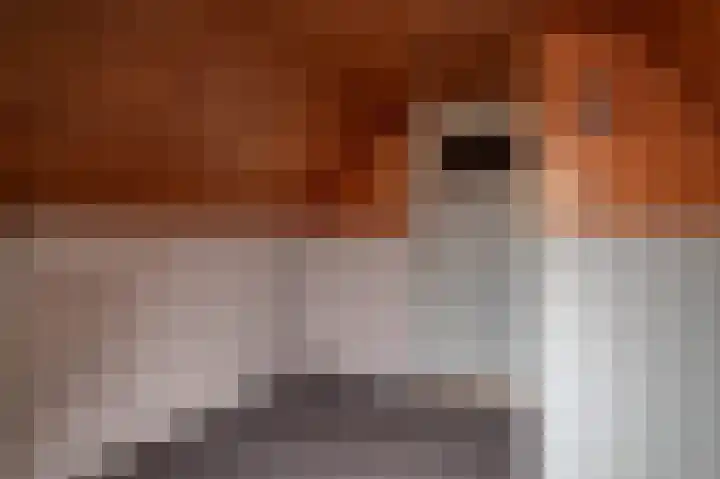 Oude Rijksweg 275 Rouveen thumbnail 20