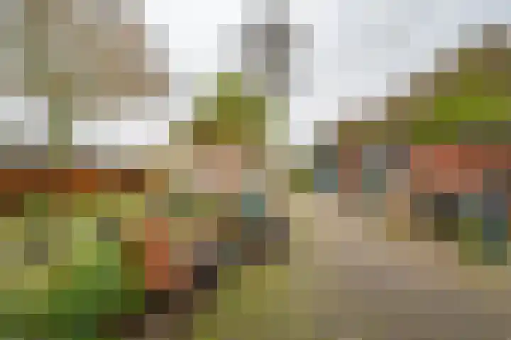 Oude Rijksweg 275 Rouveen thumbnail 21
