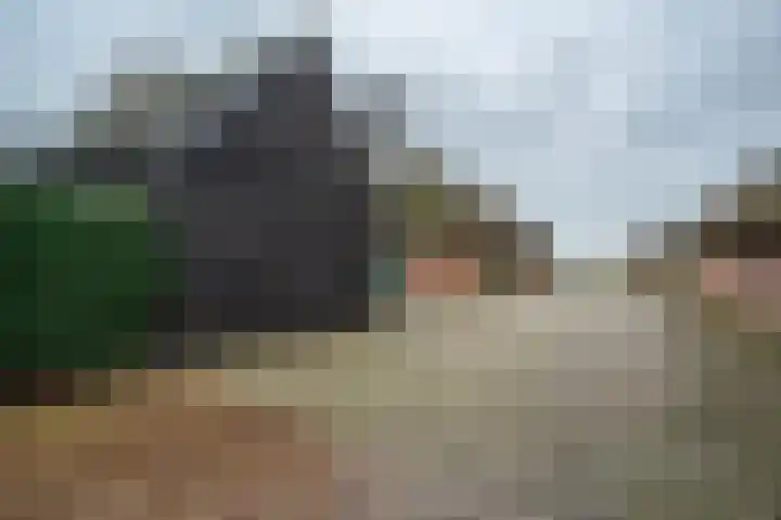 Oude Rijksweg 275 Rouveen thumbnail 22