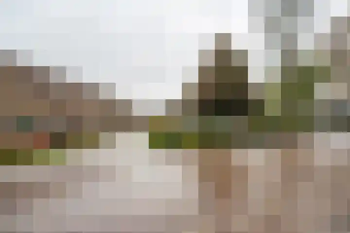 Oude Rijksweg 275 Rouveen thumbnail 25