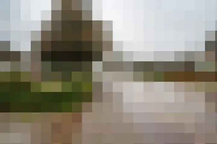 Oude Rijksweg 275 Rouveen thumbnail 26