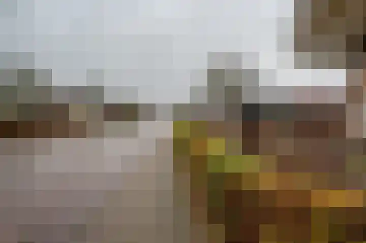 Oude Rijksweg 275 Rouveen thumbnail 27