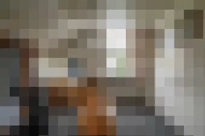 Oude Rijksweg 275 Rouveen thumbnail 6