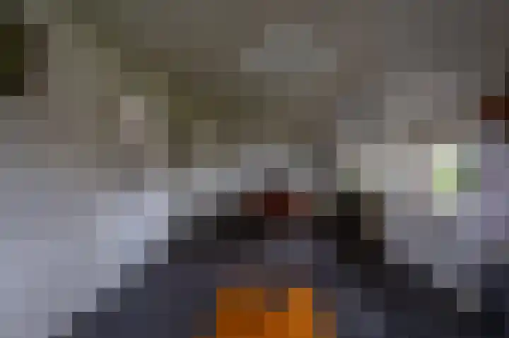 Oude Rijksweg 275 Rouveen thumbnail 7