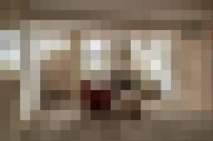 Oude Rijksweg 275 Rouveen thumbnail 9