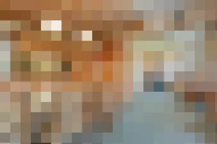 Oude Rijksweg 287 Rouveen thumbnail 10