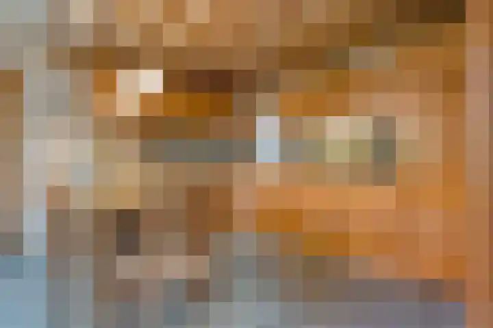 Oude Rijksweg 287 Rouveen thumbnail 11