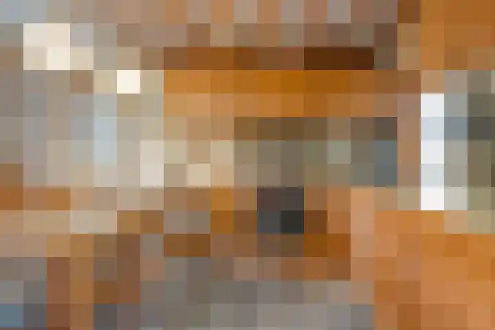 Oude Rijksweg 287 Rouveen thumbnail 12