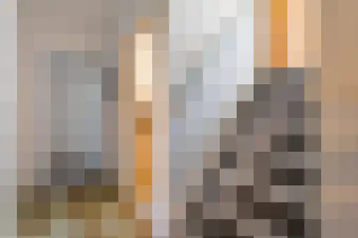 Oude Rijksweg 287 Rouveen thumbnail 15