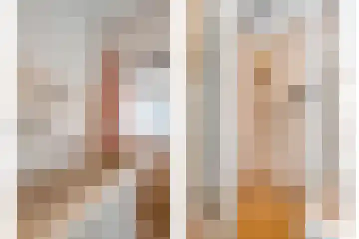 Oude Rijksweg 287 Rouveen thumbnail 18