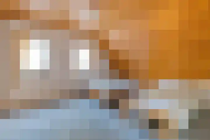 Oude Rijksweg 287 Rouveen thumbnail 25