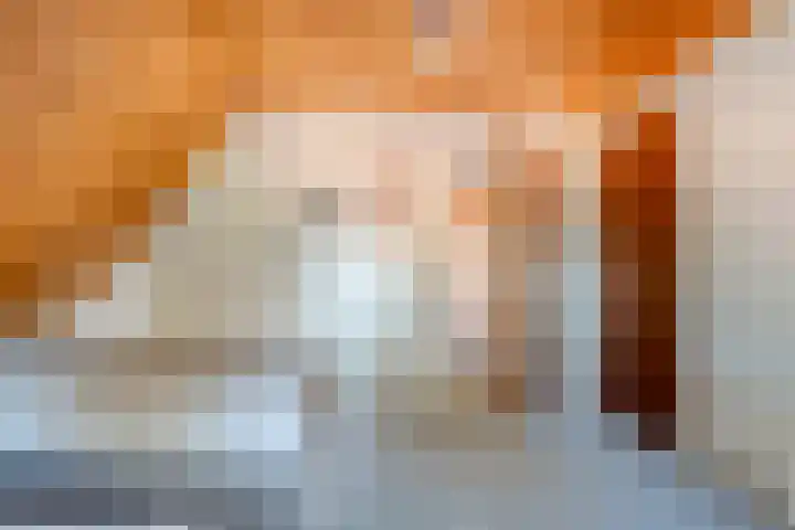 Oude Rijksweg 287 Rouveen thumbnail 26
