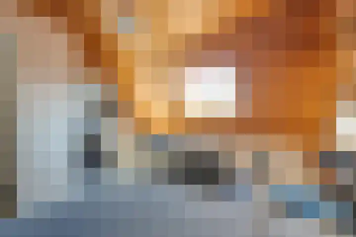 Oude Rijksweg 287 Rouveen thumbnail 27