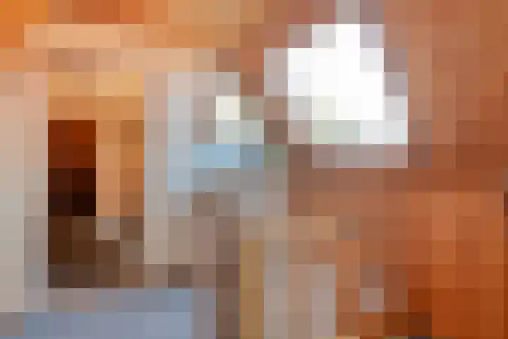 Oude Rijksweg 287 Rouveen thumbnail 31