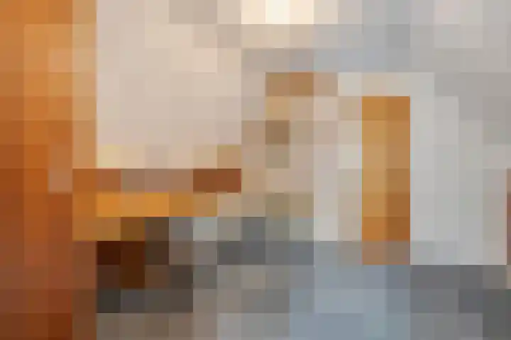 Oude Rijksweg 287 Rouveen thumbnail 33