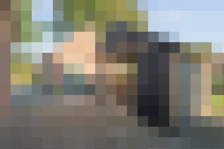 Oude Rijksweg 287 Rouveen thumbnail 39