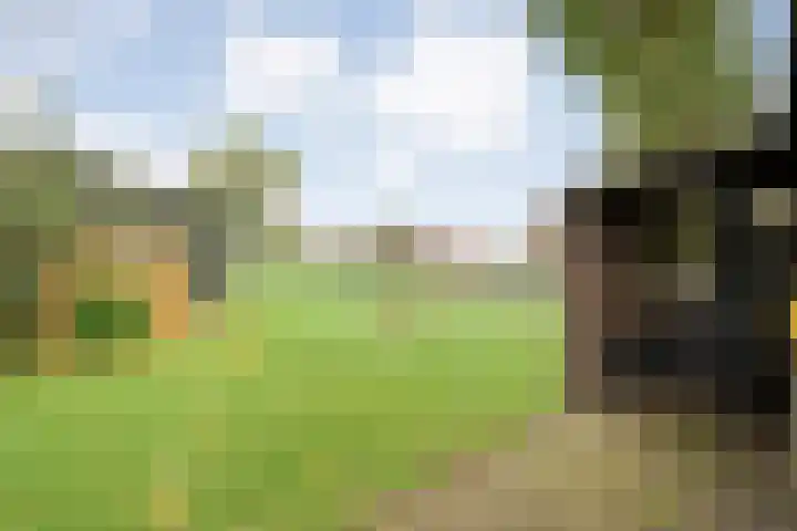 Oude Rijksweg 287 Rouveen thumbnail 4