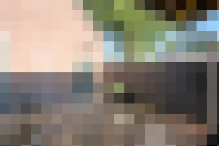Oude Rijksweg 287 Rouveen thumbnail 40