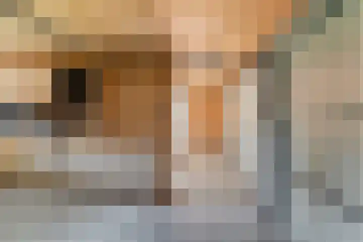 Oude Rijksweg 287 Rouveen thumbnail 47