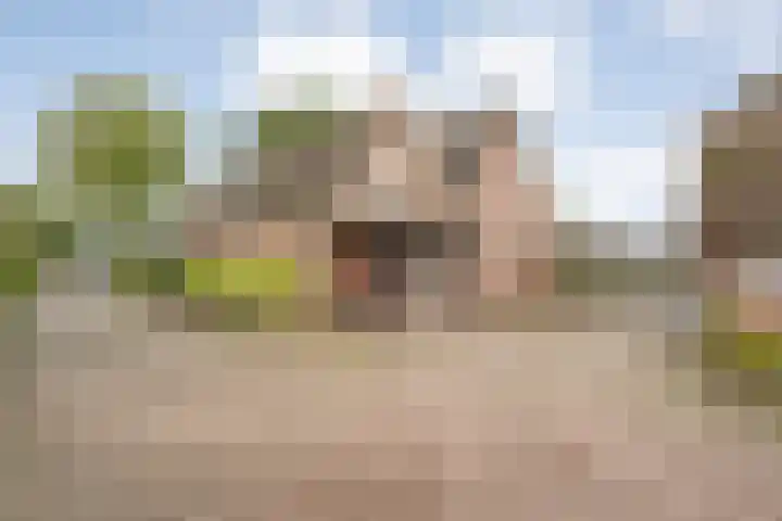 Oude Rijksweg 287 Rouveen thumbnail 49