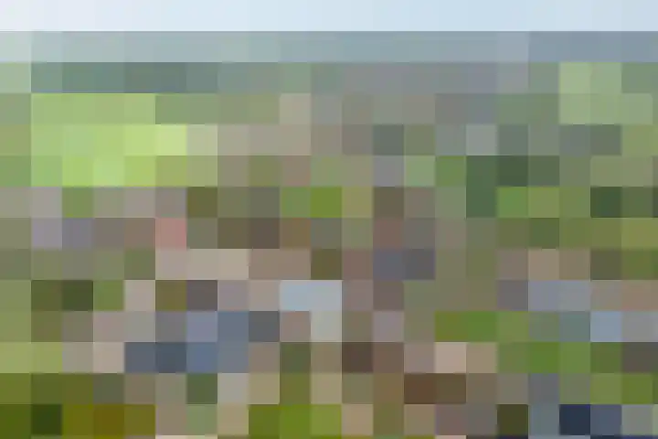 Oude Rijksweg 287 Rouveen thumbnail 5