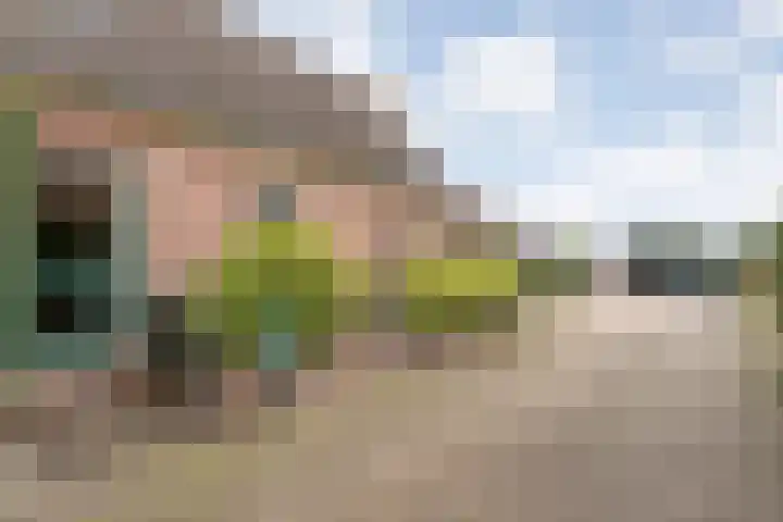 Oude Rijksweg 287 Rouveen thumbnail 51