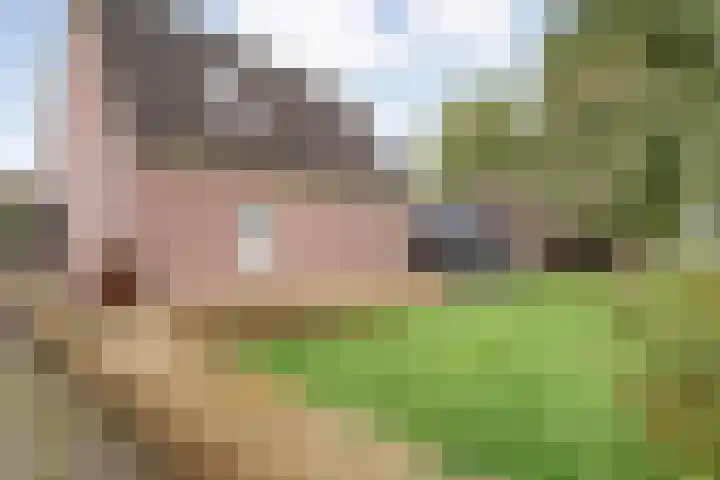 Oude Rijksweg 287 Rouveen thumbnail 52