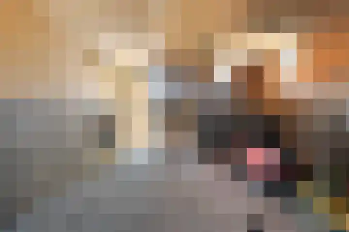 Oude Rijksweg 287 Rouveen thumbnail 55