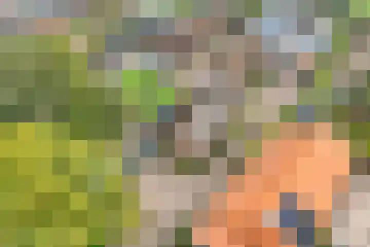 Oude Rijksweg 287 Rouveen thumbnail 56