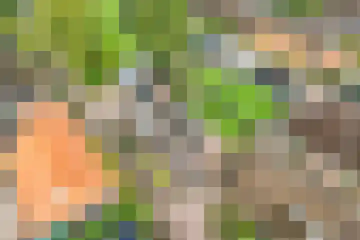 Oude Rijksweg 287 Rouveen thumbnail 57