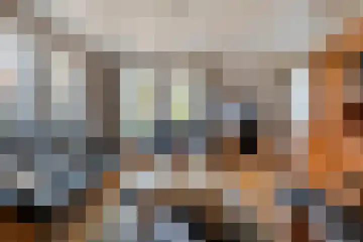 Oude Rijksweg 287 Rouveen thumbnail 7