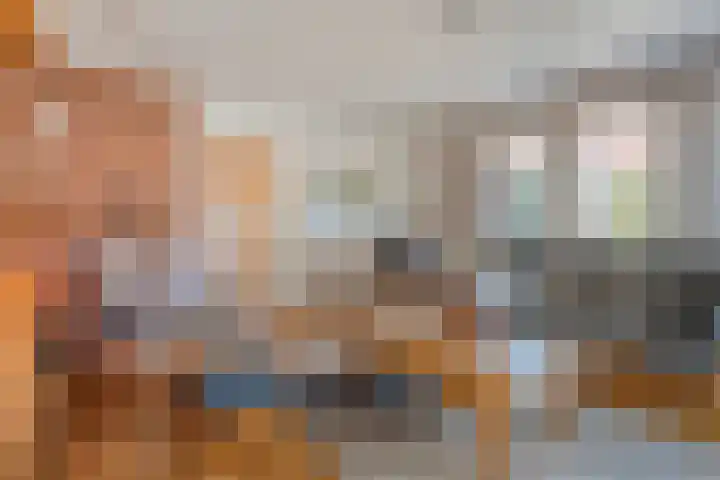 Oude Rijksweg 287 Rouveen thumbnail 8