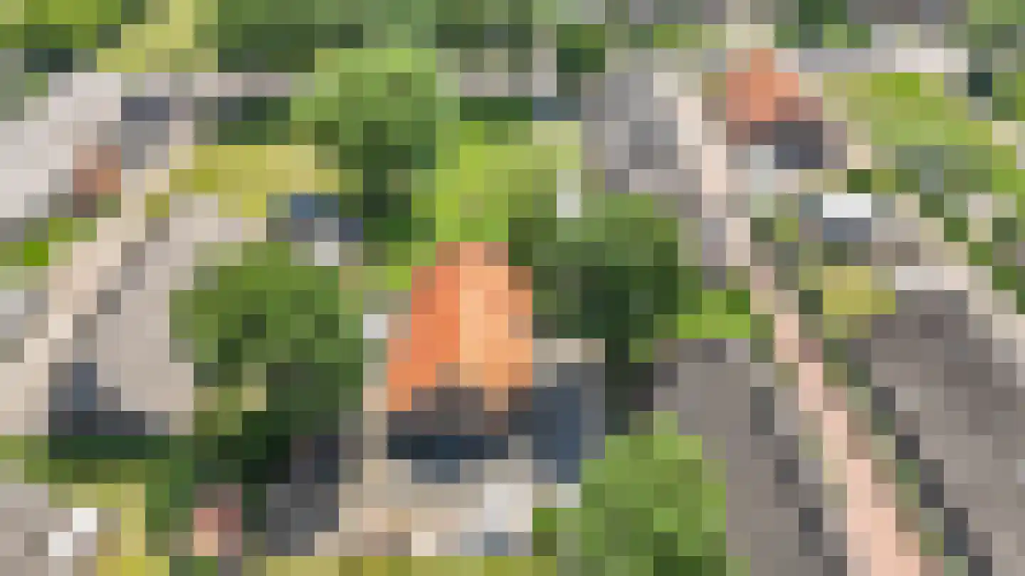Oude Rijksweg 30 Staphorst thumbnail 36