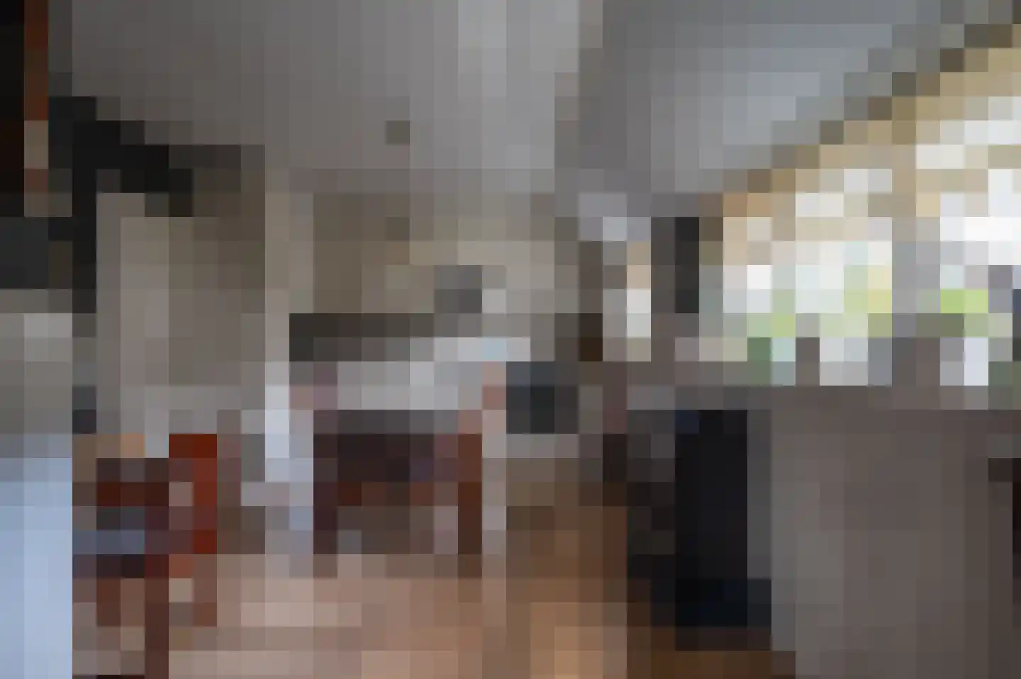 Oude Rijksweg 30 Staphorst thumbnail 4