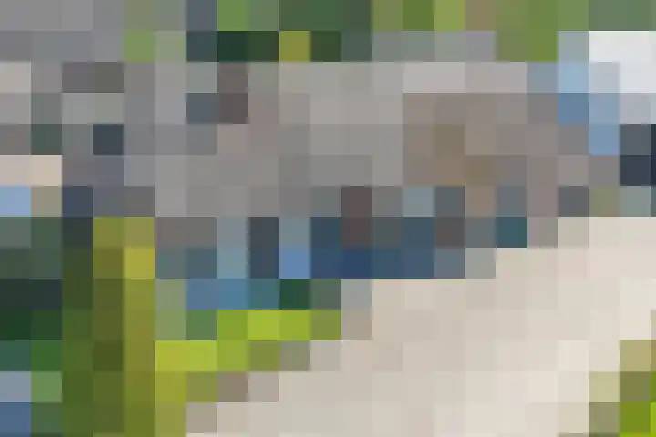 Oude Rijksweg 325 Rouveen thumbnail 8
