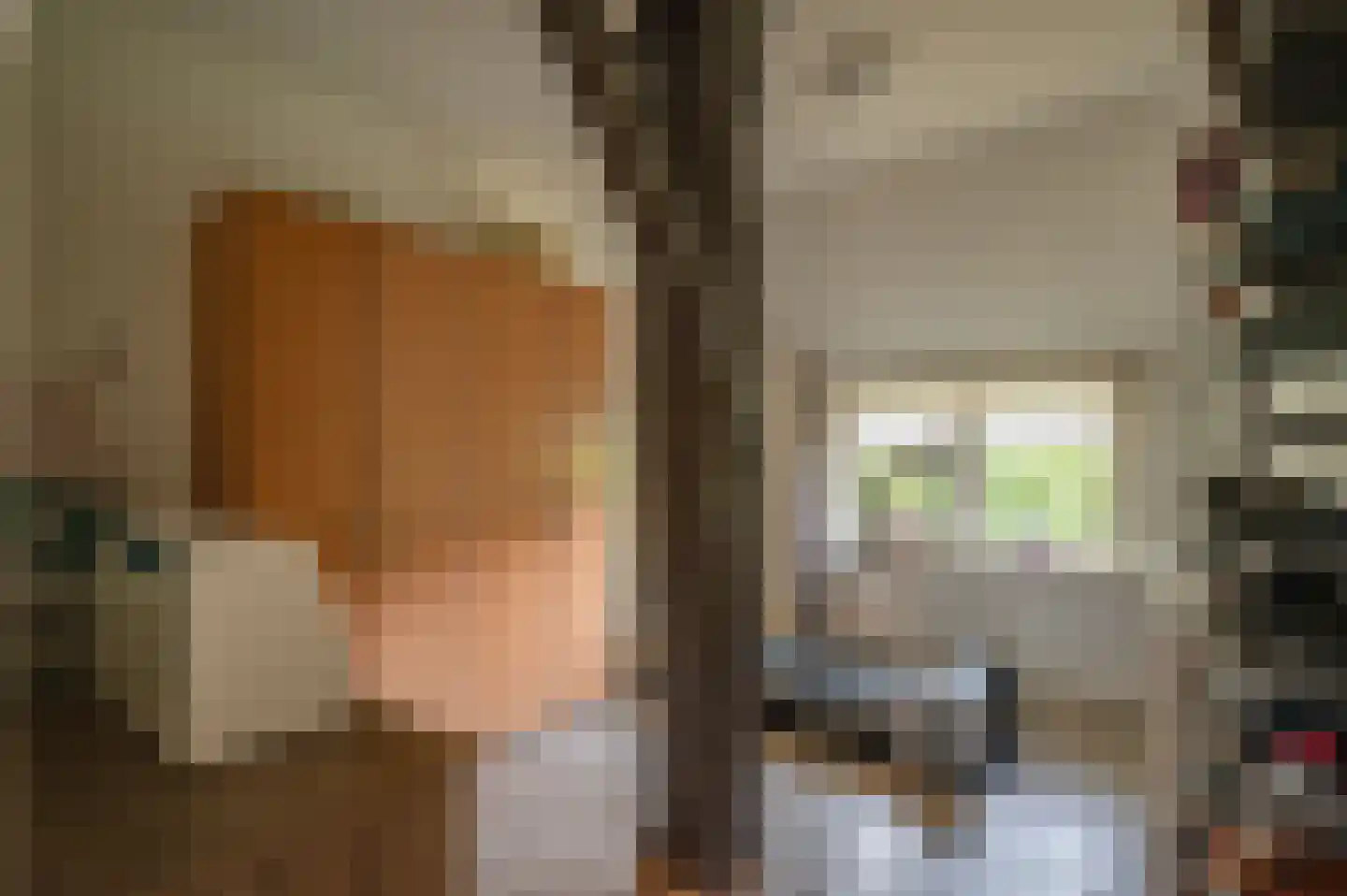 Oude Rijksweg 340 Rouveen thumbnail 11