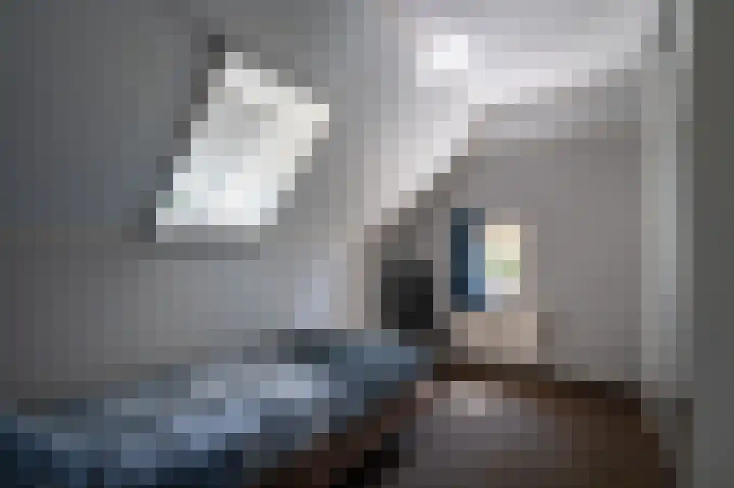 Oude Rijksweg 340 Rouveen thumbnail 20