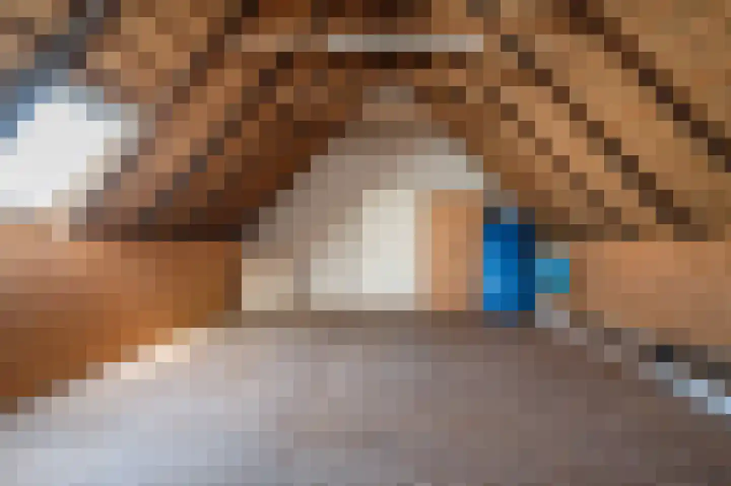Oude Rijksweg 340 Rouveen thumbnail 29