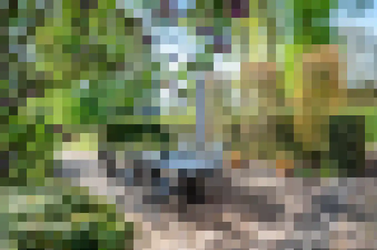 Oude Rijksweg 340 Rouveen thumbnail 34