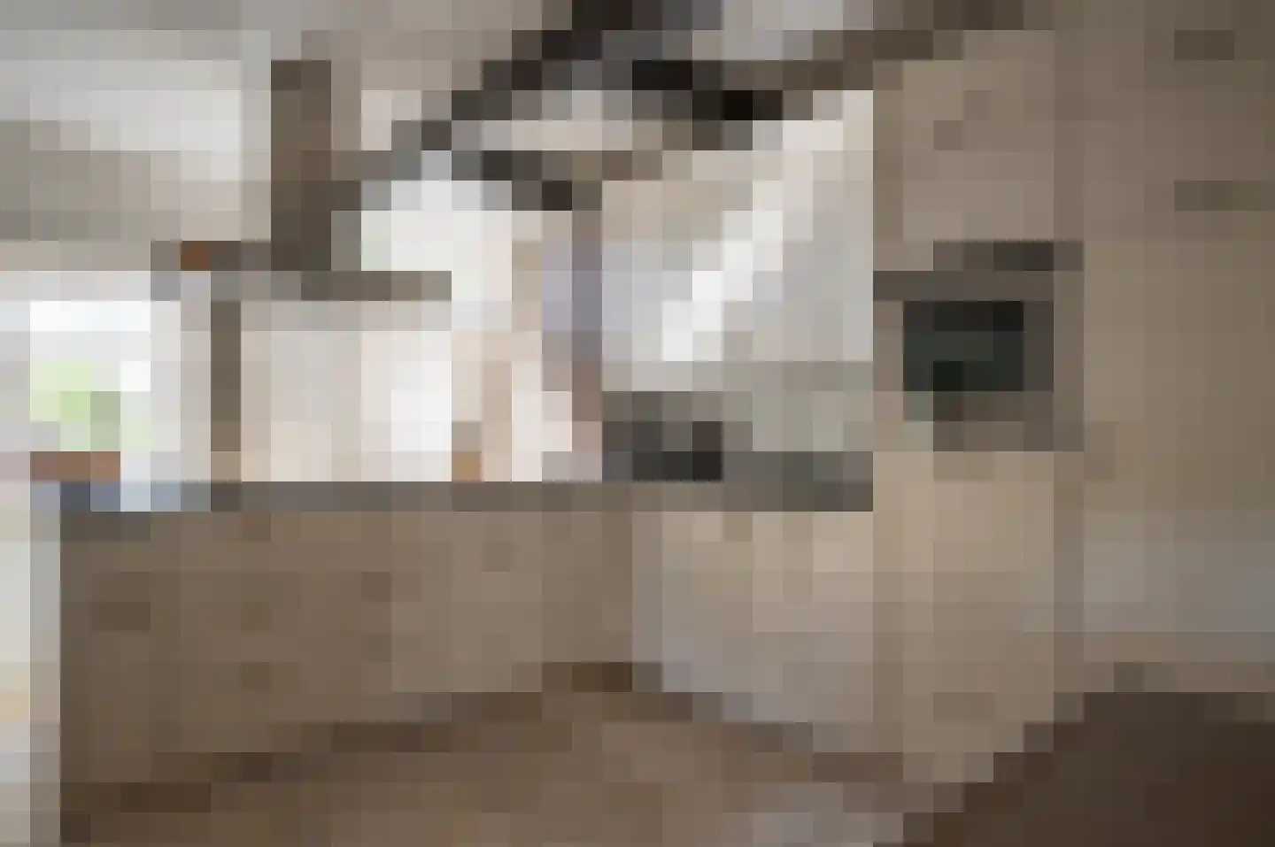 Oude Rijksweg 340 Rouveen thumbnail 6