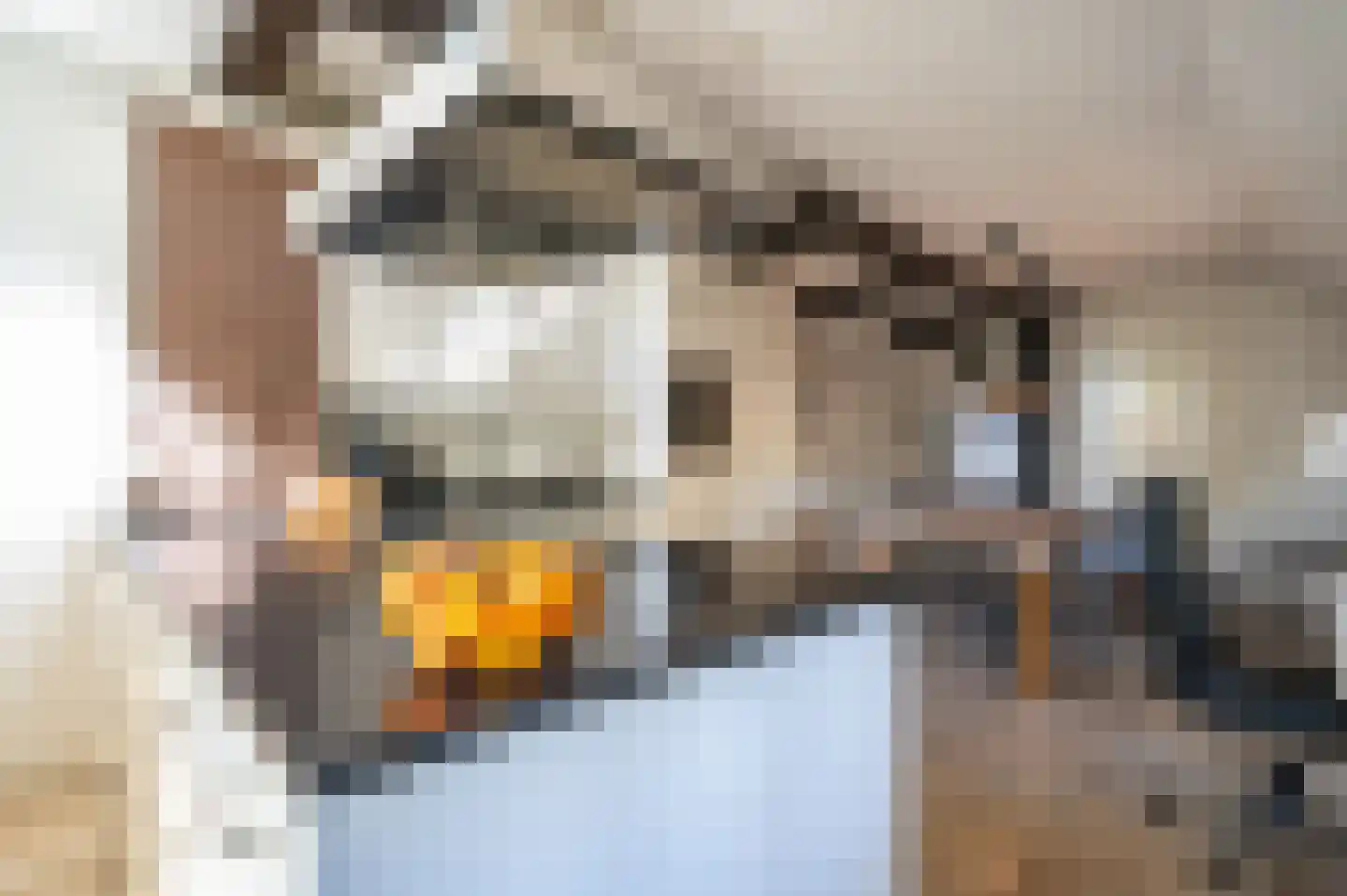 Oude Rijksweg 340 Rouveen thumbnail 7