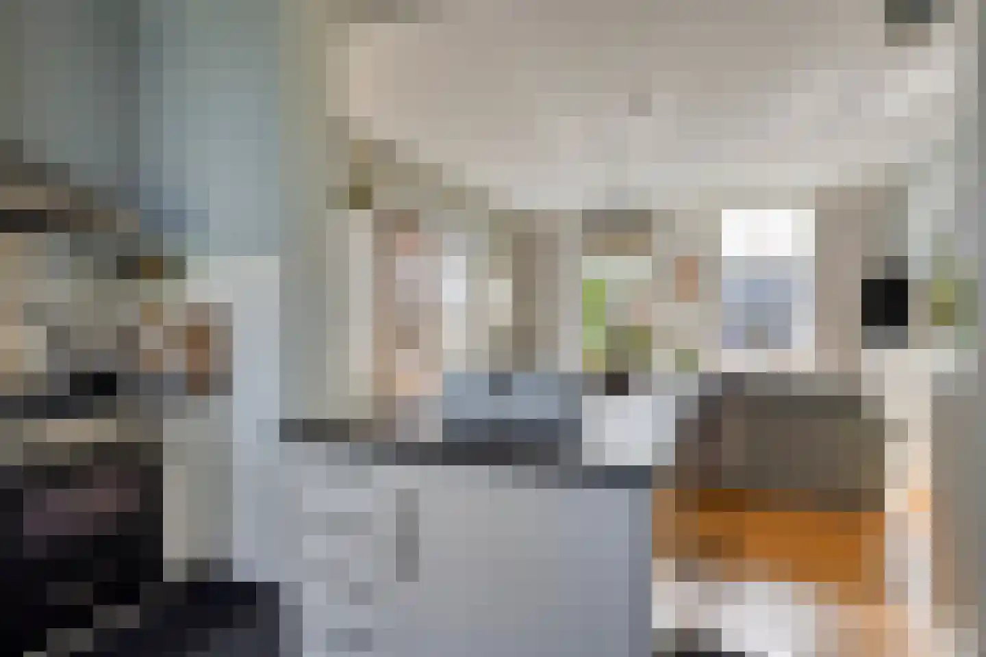 Oude Rijksweg 35 Nieuw- en Sint Joosland thumbnail 10