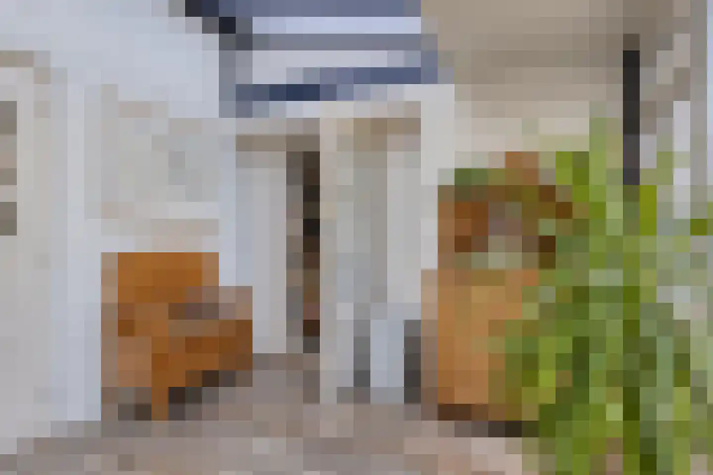 Oude Rijksweg 35 Nieuw- en Sint Joosland thumbnail 24